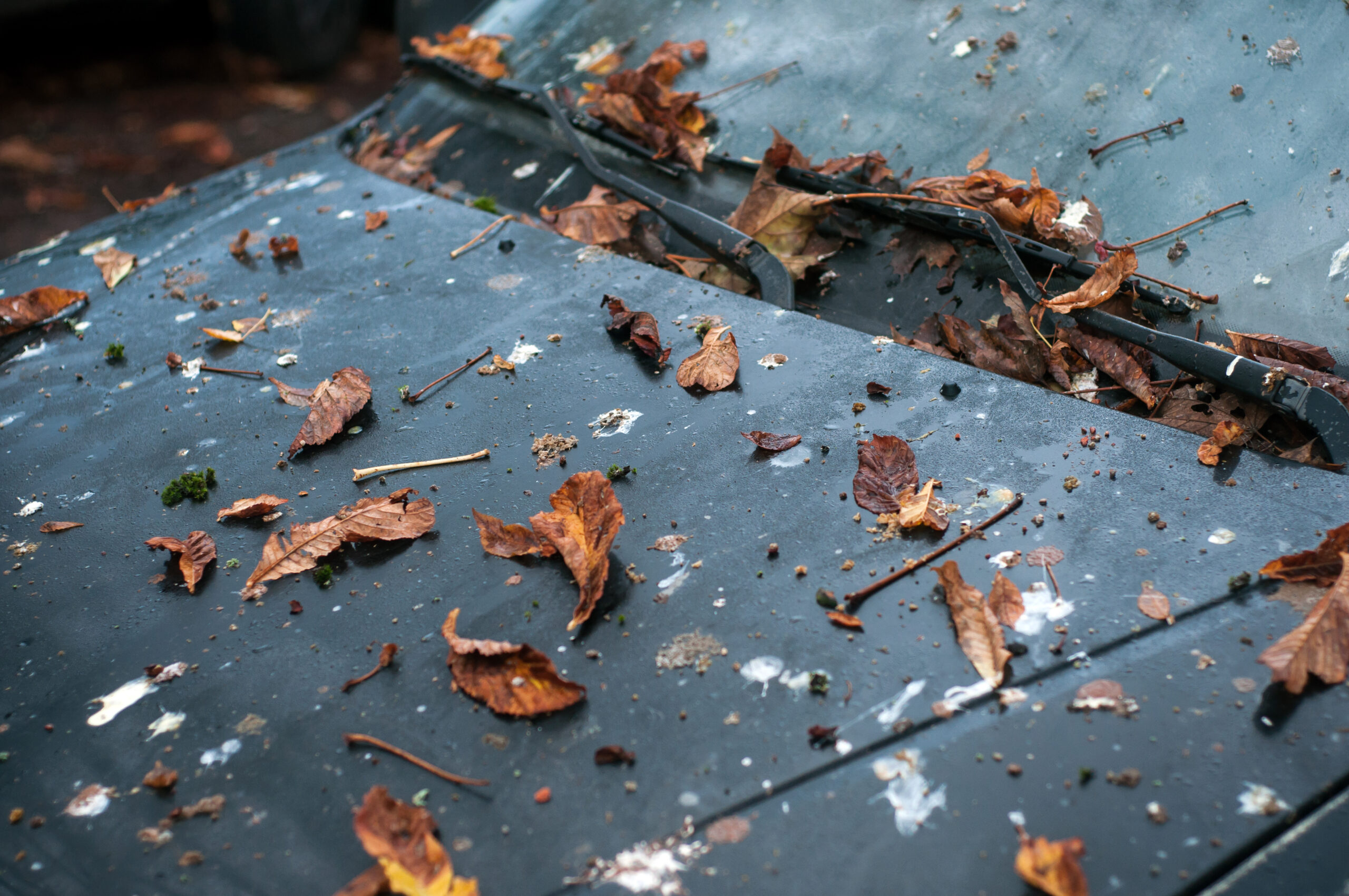 Dicas para proteger e preservar a pintura do seu carro